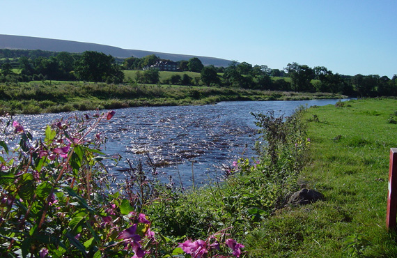 Read more about the article New Clitheroe Anglers Association Notice Board