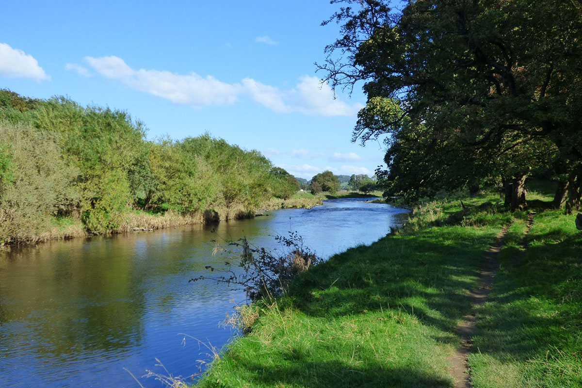 You are currently viewing New Clitheroe Anglers Association Notice Board